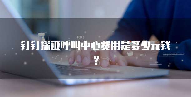 钉钉探迹呼叫中心费用是多少元钱？
