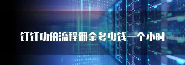 钉钉功倍流程佣金多少钱一个小时