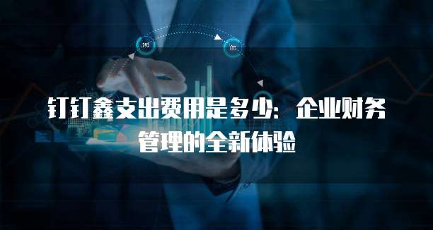 钉钉鑫支出费用是多少:企业财务管理的全新体验