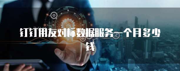 钉钉用友对标数据服务一个月多少钱