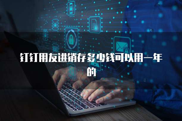 钉钉用友进销存多少钱可以用一年的