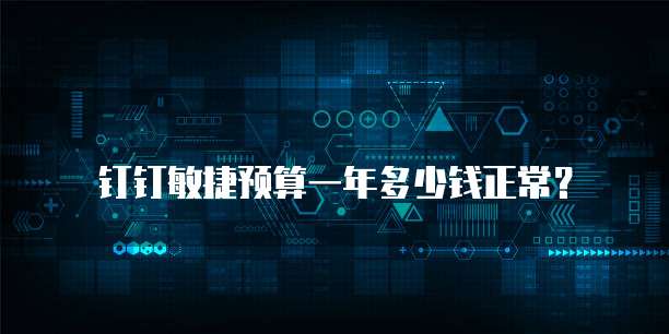 钉钉敏捷预算一年多少钱正常？
