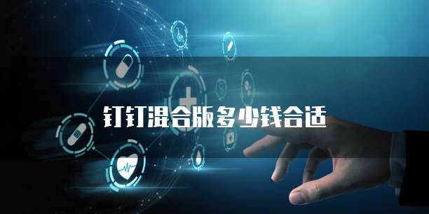 钉钉混合版多少钱合适