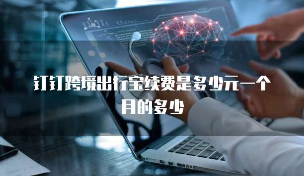 钉钉跨境出行宝续费是多少元一个月的多少