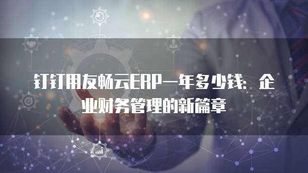 钉钉用友畅云ERP一年多少钱：企业财务管理的新篇章