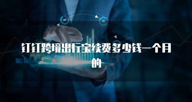 钉钉跨境出行宝续费多少钱一个月的