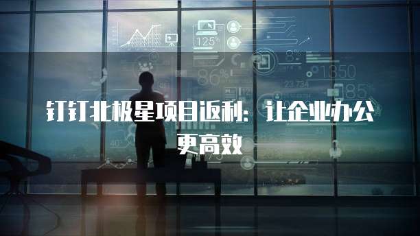 钉钉北极星项目返利：让企业办公更高效