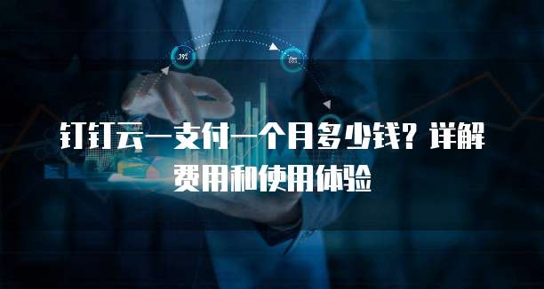 钉钉云一支付一个月多少钱？详解费用和使用体验