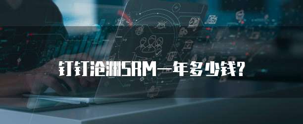钉钉沧渊SRM一年多少钱？
