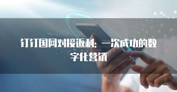 钉钉国网对接返利: 一次成功的数字化营销