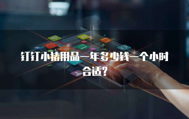 钉钉小猪用品一年多少钱一个小时合适?