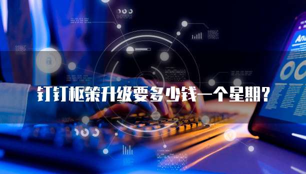 钉钉枢策升级要多少钱一个星期？