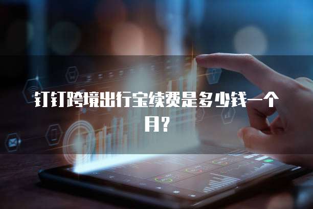 钉钉跨境出行宝续费是多少钱一个月？