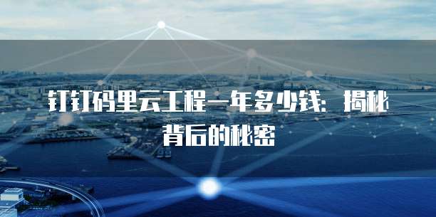 钉钉码里云工程一年多少钱:揭秘背后的秘密