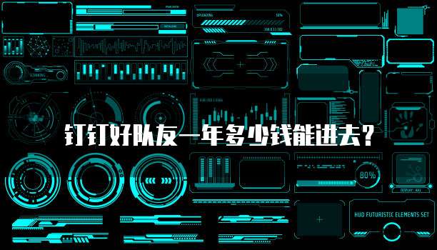 钉钉好队友一年多少钱能进去？