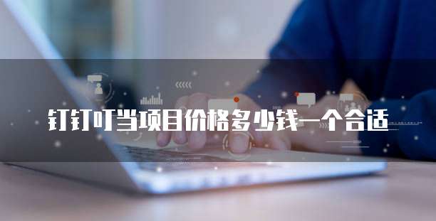 钉钉叮当项目价格多少钱一个合适