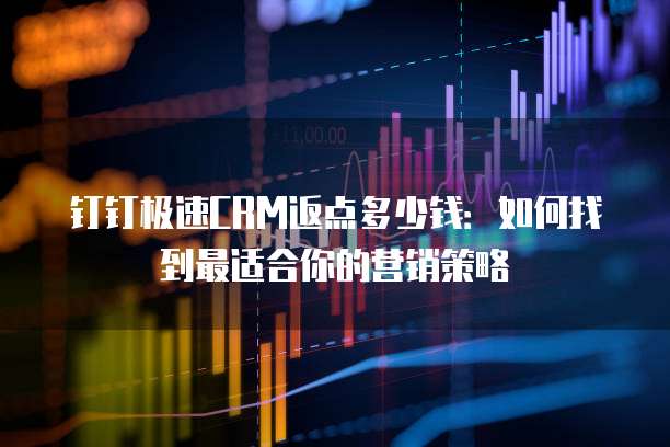 钉钉极速CRM返点多少钱:如何找到最适合你的营销策略