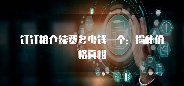 钉钉粮仓续费多少钱一个：揭秘价格真相