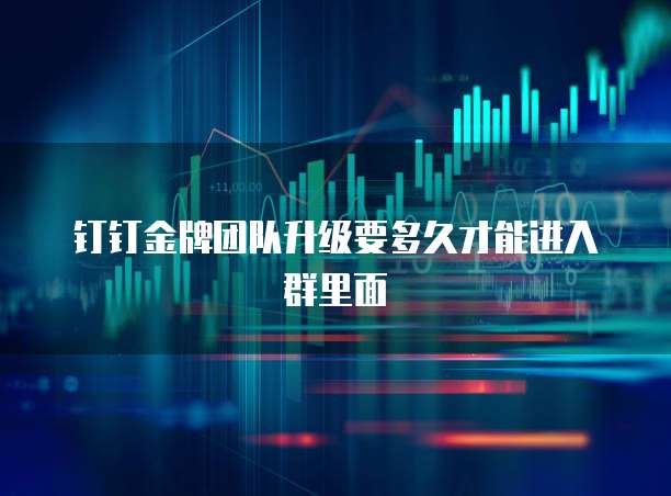 钉钉金牌团队升级要多久才能进入群里面