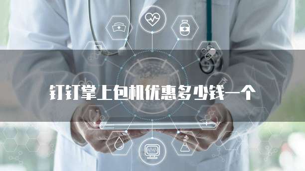 钉钉掌上包机优惠多少钱一个