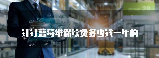 钉钉蓝莓维保续费多少钱一年的