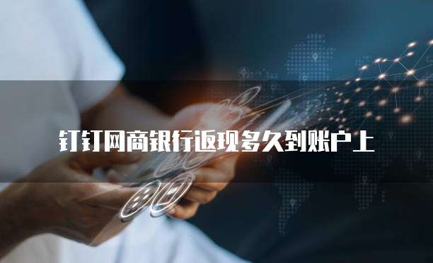 钉钉网商银行返现多久到账户上