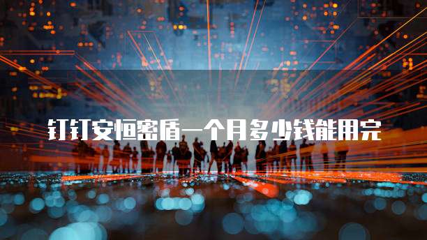 钉钉安恒密盾一个月多少钱能用完