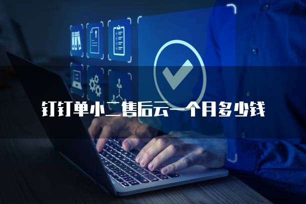 钉钉单小二售后云一个月多少钱