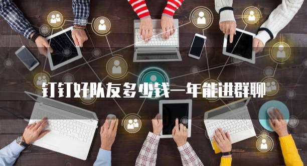钉钉好队友多少钱一年能进群聊