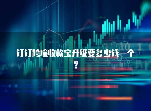 钉钉跨境收款宝升级要多少钱一个？