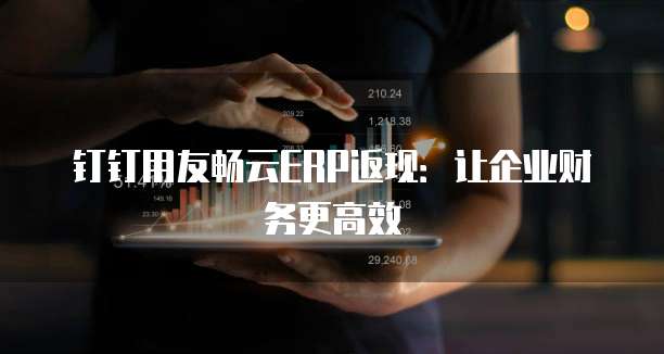 钉钉用友畅云ERP返现：让企业财务更高效
