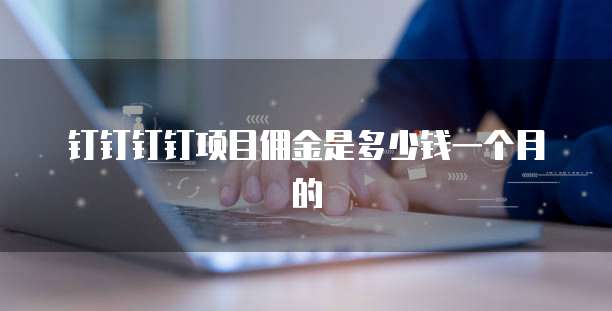钉钉钉钉项目佣金是多少钱一个月的