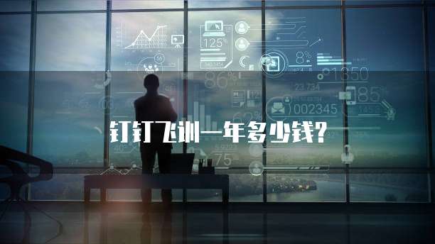 钉钉飞训一年多少钱？