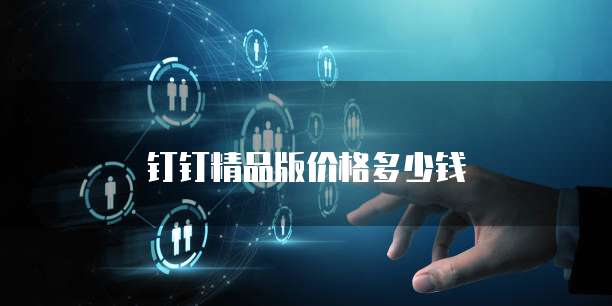 钉钉精品版价格多少钱