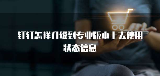 钉钉怎样升级到专业版本上去使用状态信息