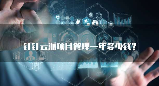 钉钉云派项目管理一年多少钱？