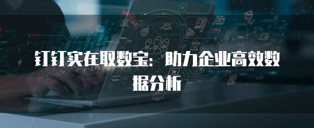 钉钉实在取数宝：助力企业高效数据分析