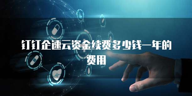 钉钉企速云资金续费多少钱一年的费用
