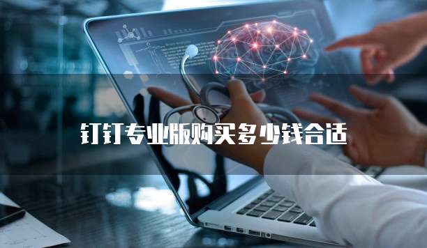 钉钉专业版购买多少钱合适
