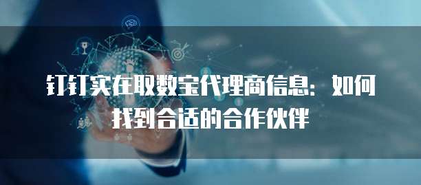 钉钉实在取数宝代理商信息：如何找到合适的合作伙伴