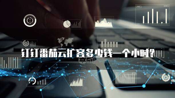 钉钉番茄云扩容多少钱一个小时?