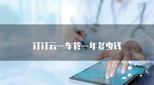 钉钉云一车管一年多少钱