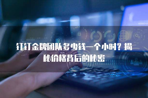 钉钉金牌团队多少钱一个小时?揭秘价格背后的秘密