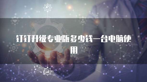 钉钉升级专业版多少钱一台电脑使用