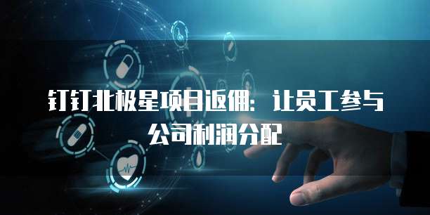 钉钉北极星项目返佣：让员工参与公司利润分配