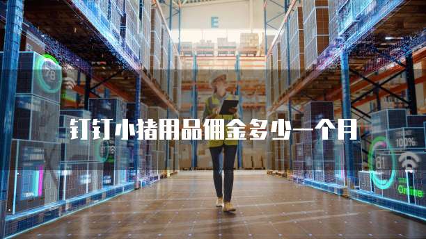 钉钉小猪用品佣金多少一个月
