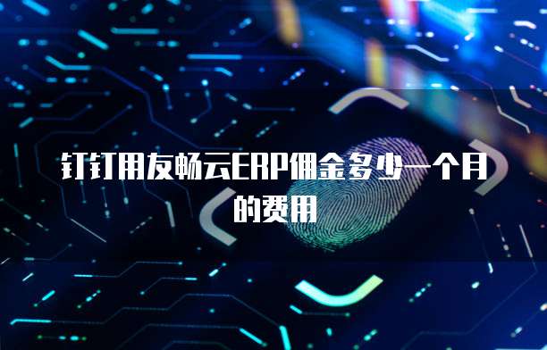钉钉用友畅云ERP佣金多少一个月的费用