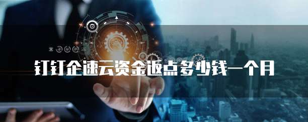 钉钉企速云资金返点多少钱一个月