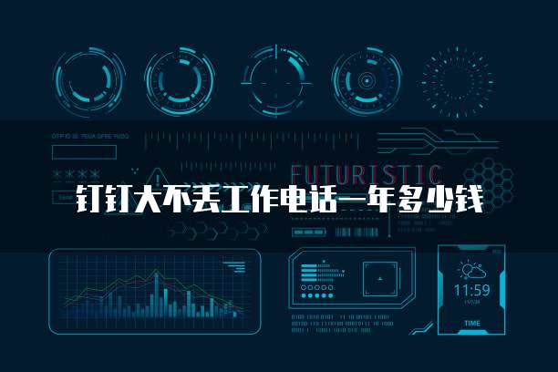 钉钉大不丢工作电话一年多少钱