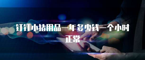 钉钉小猪用品一年多少钱一个小时正常